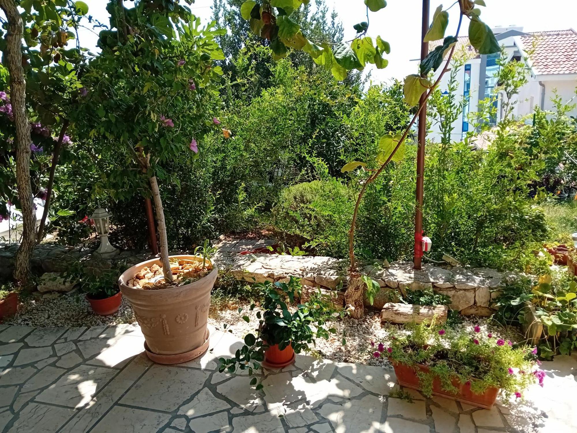Spajic Apartments 希杰·弗朗吉卡 外观 照片